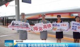 梅州最新爆料新闻视频,视频揭露惊人真相，引发社会关注